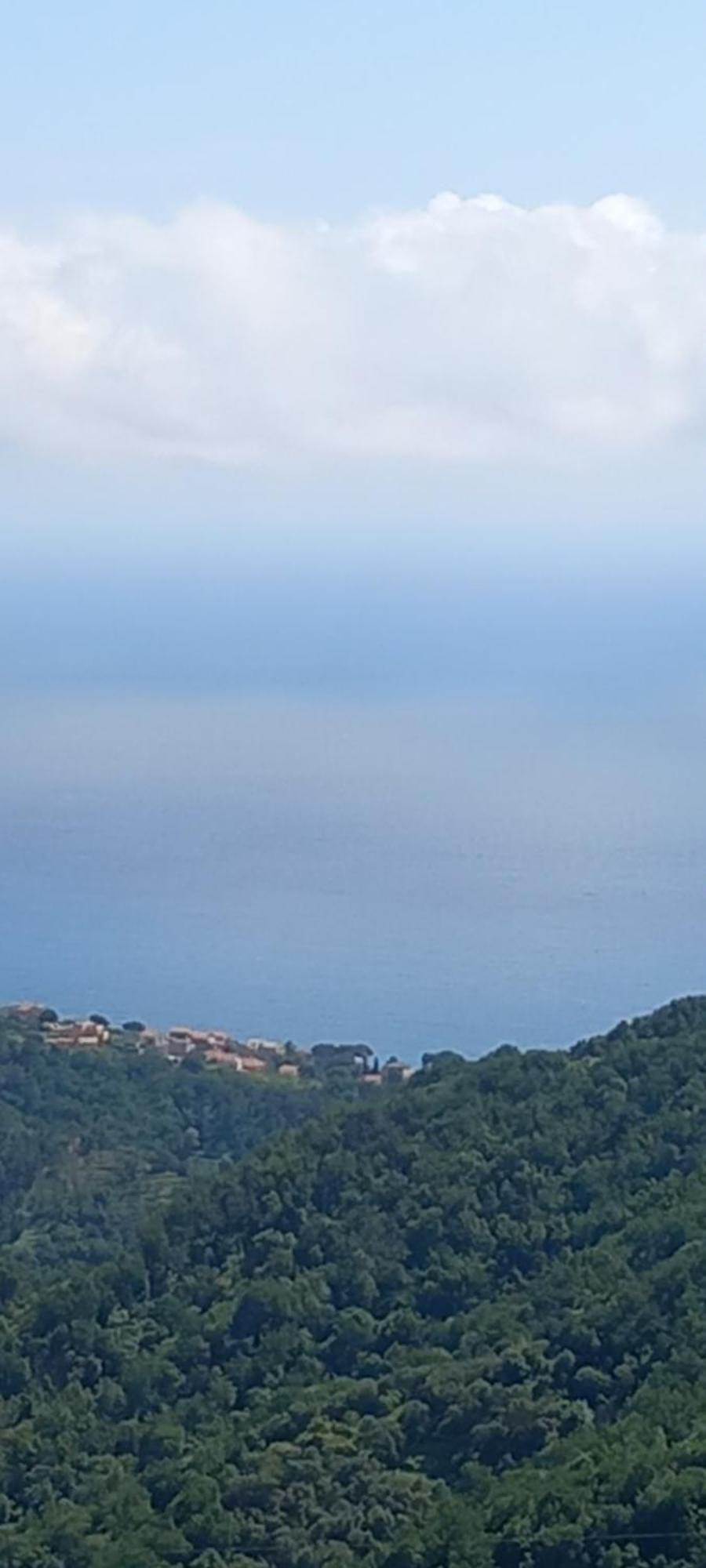 Appartamento Vacanze Malu 莫内利亚 外观 照片