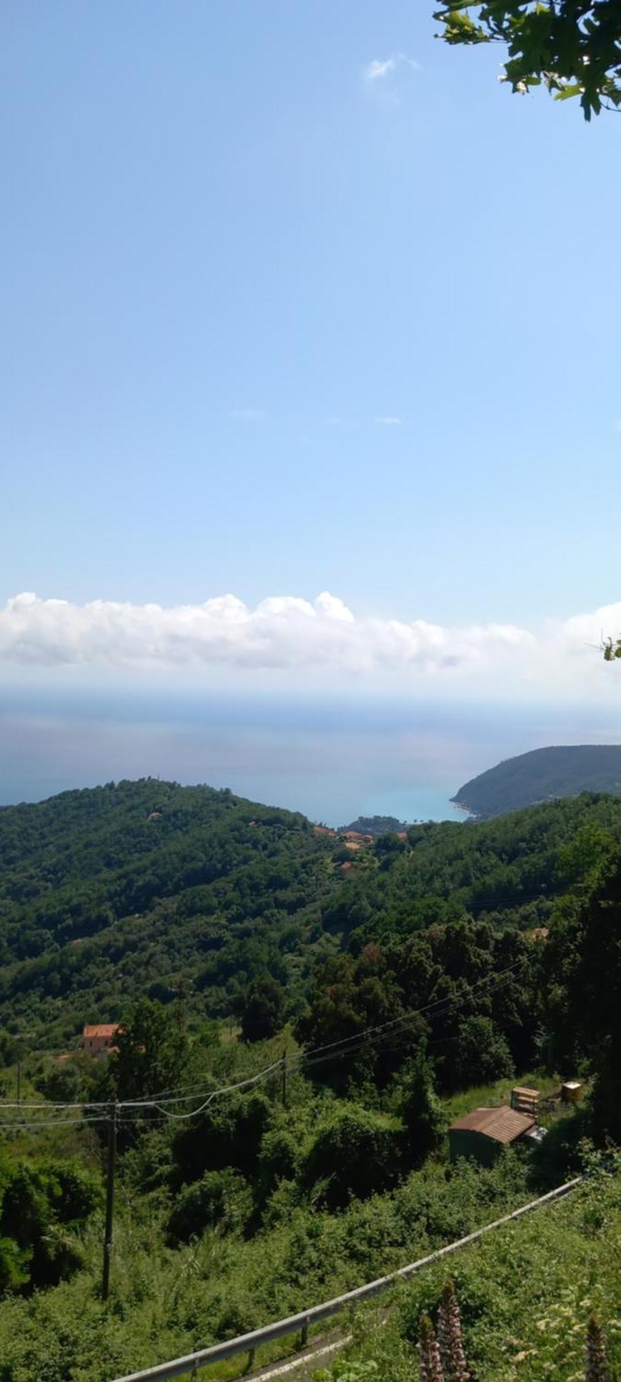 Appartamento Vacanze Malu 莫内利亚 外观 照片